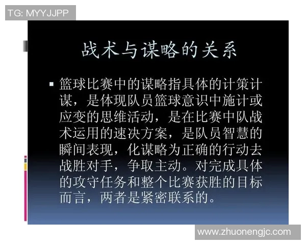 南京篮球队战术深度解析与对比分析揭示球队优势与不足